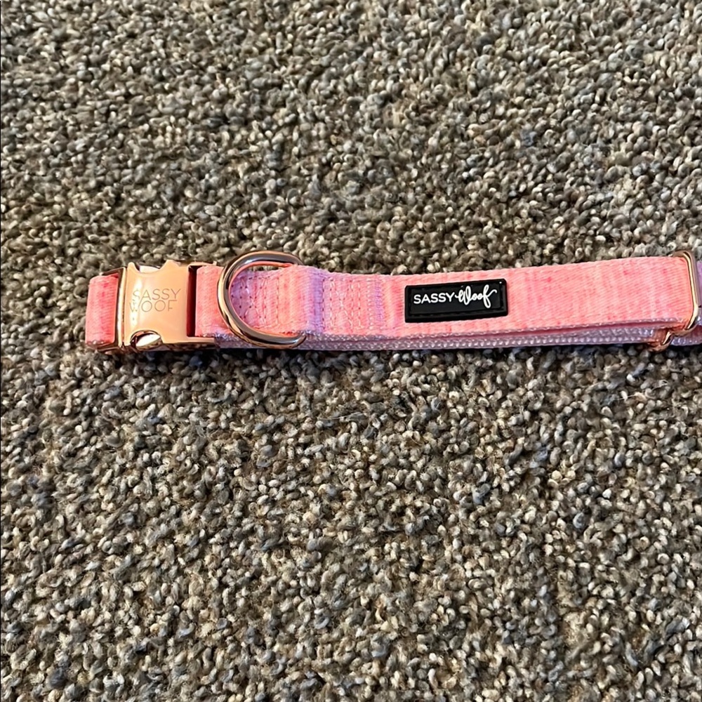Pink Dog Collar